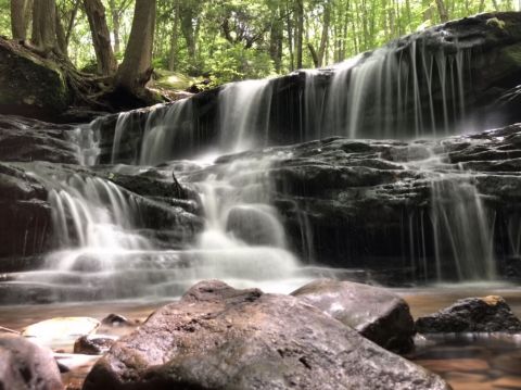 This Easy, .03-Mile Trail Leads To Logan Falls, One Of Pennsylvania's Most Underrated Waterfalls