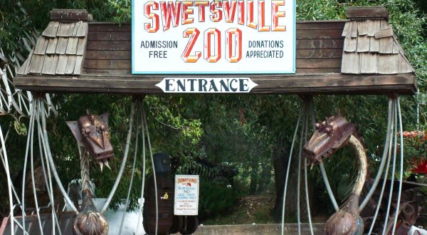 There Is Still Time To Visit The Iconic Swetsville Zoo In Colorado Before It Closes For Good