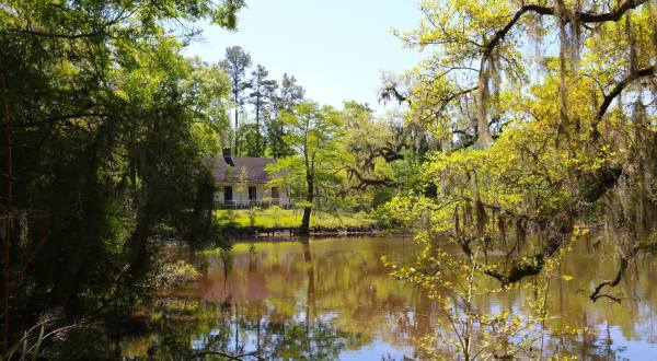 Enjoy Over 130 Acres Of Natural Beauty At Camp Salmen Nature Park Near New Orleans