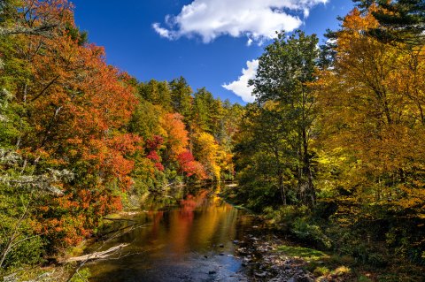 10 Reasons Why It's Better To Visit Great Smoky Mountains National Park In Tennessee In The Fall