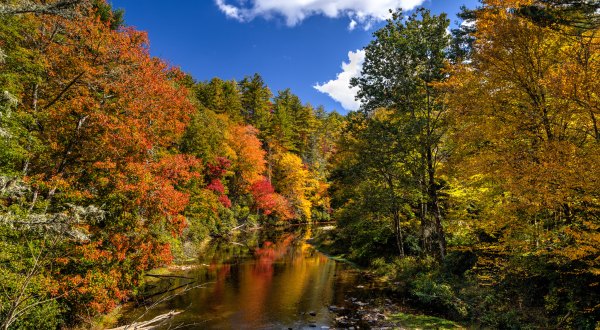 10 Reasons Why It’s Better To Visit Great Smoky Mountains National Park In Tennessee In The Fall