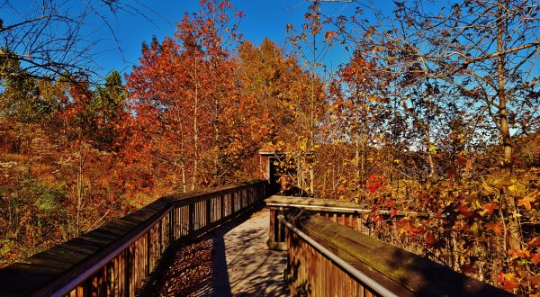 Maryland’s Patuxent Research Refuge Is An Absolute Stunner During Autumn