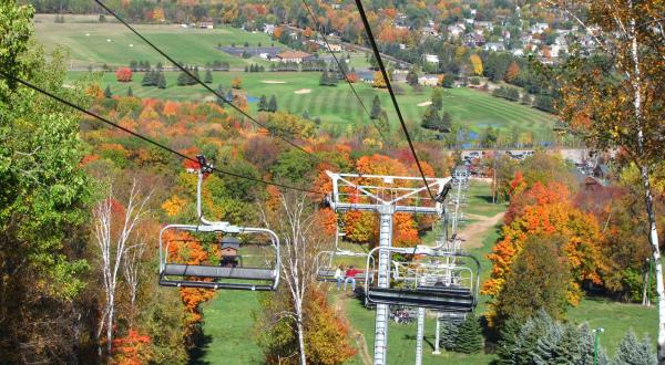 Find Out When The Leaves Will Change Color In Wisconsin With This Interactive Fall Foliage Map