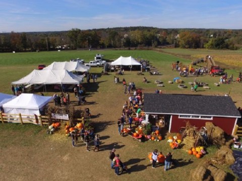 Pick And Paint Your Own Pumpkins Then Enjoy Endless Activities At Froehlich's Farm In Pennsylvania