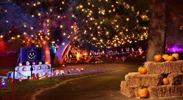 The Drive-Thru Halloween Wonderland In Southern California, Nights of the Jack, That’s Glowing With Thousands Of Jack O’ Lanterns