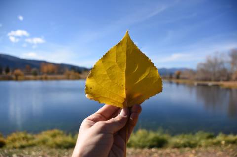 Watch Summer Fade To Fall At Frenchtown Pond State Park In Montana