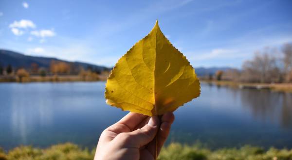 Watch Summer Fade To Fall At Frenchtown Pond State Park In Montana