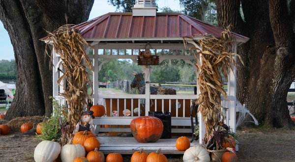 Drive Through An Incredible Pumpkin Patch At Florida’s Painted Oaks Academy