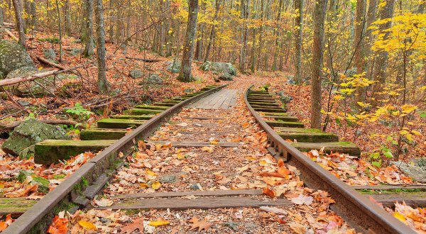 Follow An Old Logging Railroad To A Waterfall On This Enchanting Virginia Trail