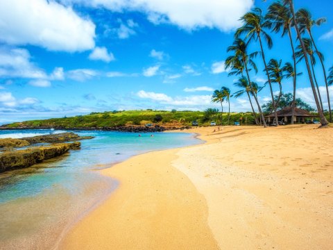 You'll Daydream Endlessly About A Family Beach Day Spent At Salt Pond Park In Hawaii
