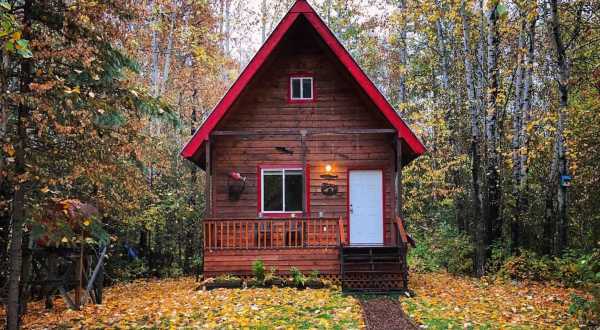 Nestle In To This Tiny Alaskan Cabin In The Woods, Your Basecamp For Adventure In Talkeetna