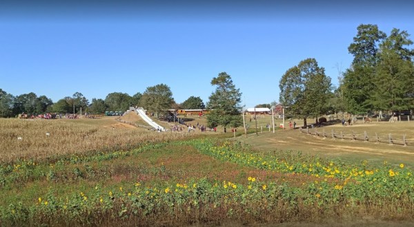 Enjoy Lots Of Fun Activities This Fall At 4D Farm, A Pumpkin Patch In Alabama