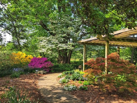 Botanical Garden of the Ozarks Is A Scenic Outdoor Spot In Arkansas That's A Nature Lover’s Dream Come True