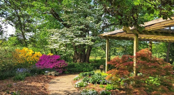 Botanical Garden of the Ozarks Is A Scenic Outdoor Spot In Arkansas That’s A Nature Lover’s Dream Come True