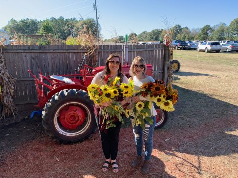 The Festive Sunflower Farm In Mississippi Where You Can Cut Your Own Flowers