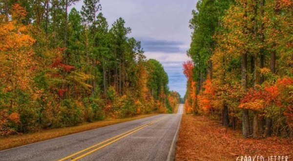 10 Of The Most Beautiful Fall Destinations In Mississippi
