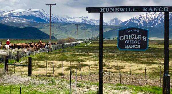 Experience Life On A Working Dude Ranch When You Plan A Getaway At Hunewill Ranch In Northern California