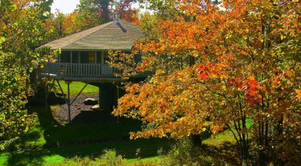 Experience The Fall Colors Like Never Before With A Stay At The Mountain Villas In Minnesota