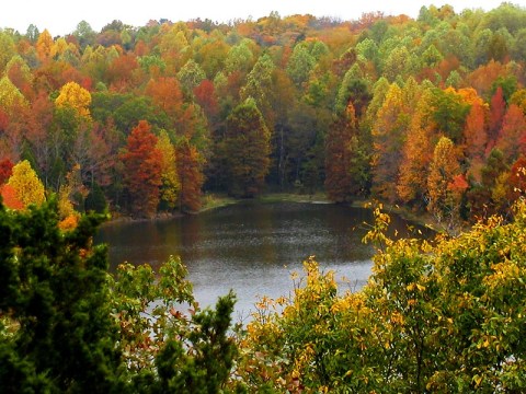 10 Of The Most Beautiful Fall Destinations In Illinois
