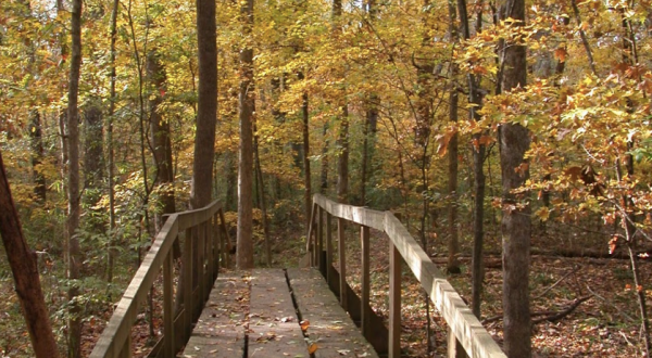 10 Of The Most Beautiful Fall Destinations In Louisiana