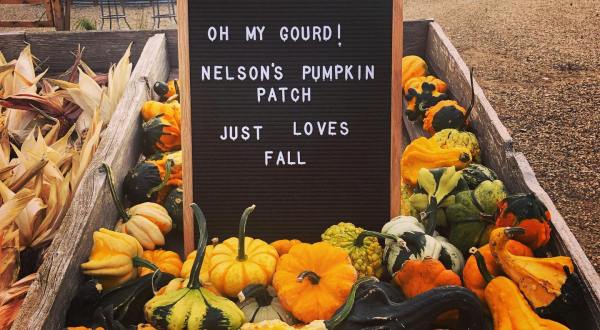 Bring The Whole Family To Nelson’s Pumpkin Patch In North Dakota For Classic Fall Fun