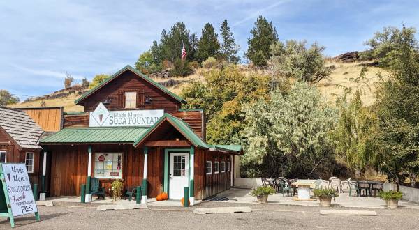 A Stop At Mads Merc & Soda Fountain In Albion, Idaho Is Worth It For The Homemade Ice Cream Alone