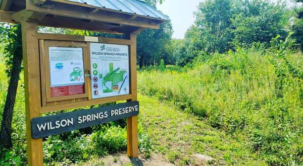 Wilson Springs Nature Preserve In Arkansas Is So Hidden Most Locals Don’t Even Know About It