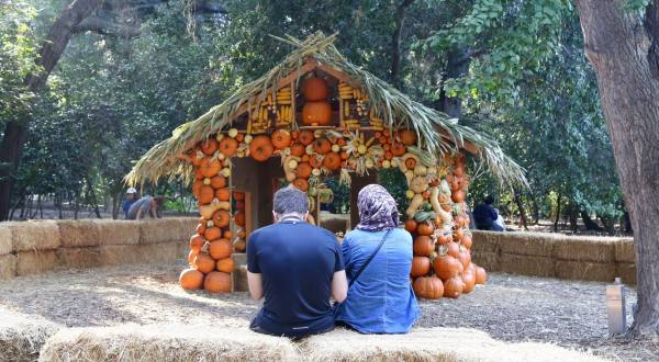 The Pumpkin Extravaganza At Descanso Gardens In Southern California Will Make Your Fall Season Complete