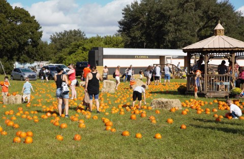 The Halloween Train Ride At The Florida Railroad Museum Is Filled With Fun For The Whole Family