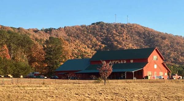 The Apple Cider Slushies From Penland’s Apple House In Georgia Belong On Your Fall Bucket List
