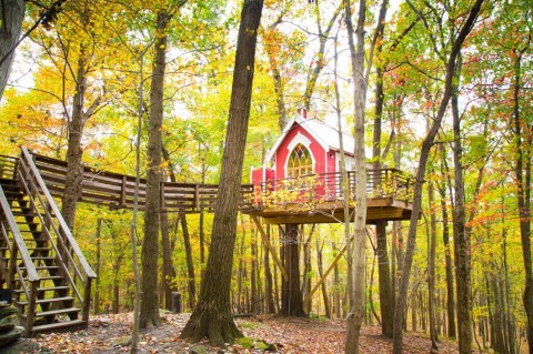Experience The Fall Colors Like Never Before With A Stay At The Mohican Treehouses In Ohio