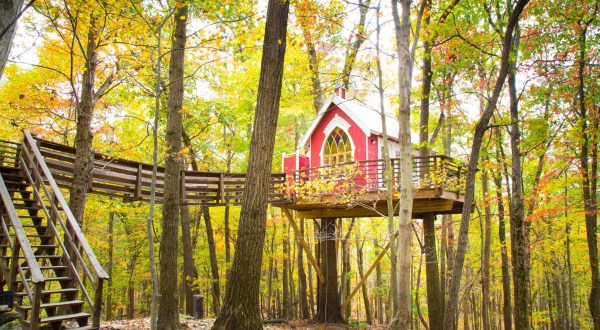 Experience The Fall Colors Like Never Before With A Stay At The Mohican Treehouses In Ohio