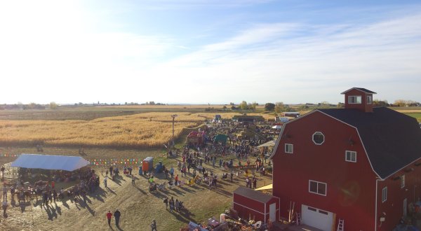 Fall Into The Season With A Weekend Trip To Linder Farms Fall Festival In Idaho