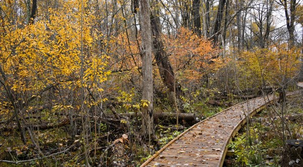 You Can Explore For Hours Upon The Boardwalks At Cedar Bog Nature Preserve In Ohio