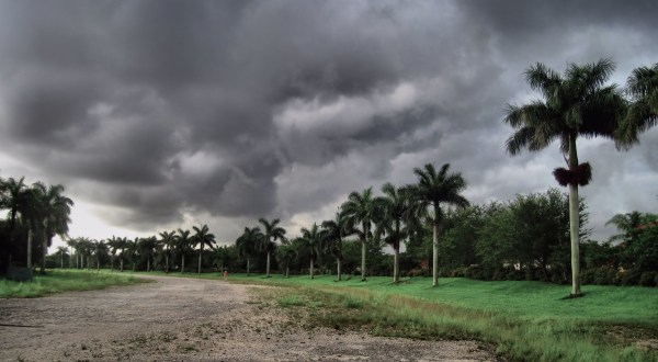Floridians Should Expect A Chilly & Wet Winter According To The Farmers Almanac