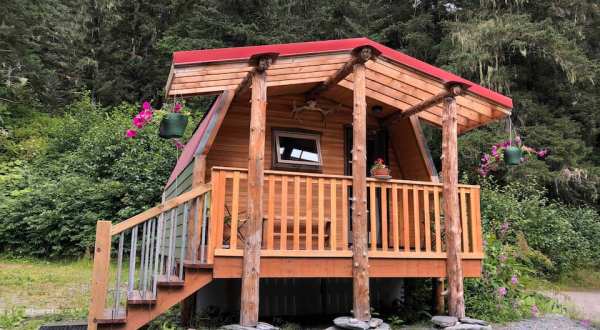 Get Away From It All At This Hideaway In The Alaskan Alpine Forest