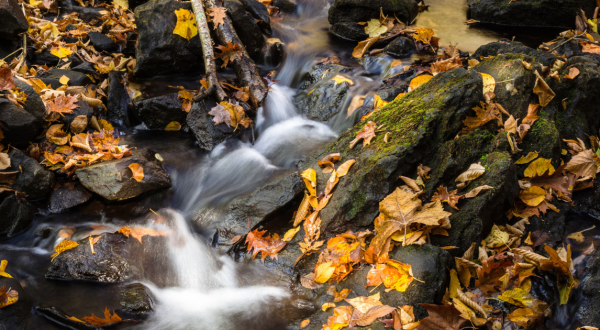 Southford Falls In Connecticut Will Soon Be Surrounded By Beautiful Fall Colors