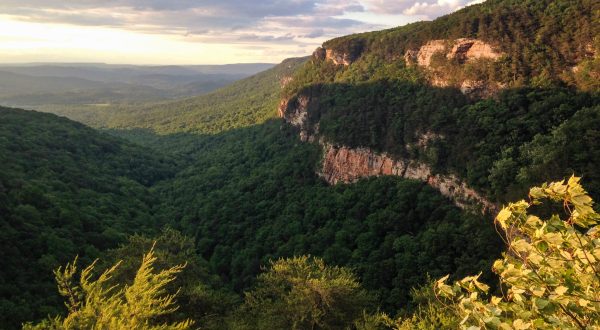 Cloudland Canyon State Park Is A Scenic Outdoor Spot In Georgia That’s A Nature Lover’s Dream Come True