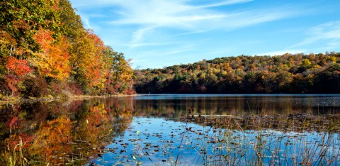 11 Of The Most Beautiful Fall Destinations In Connecticut