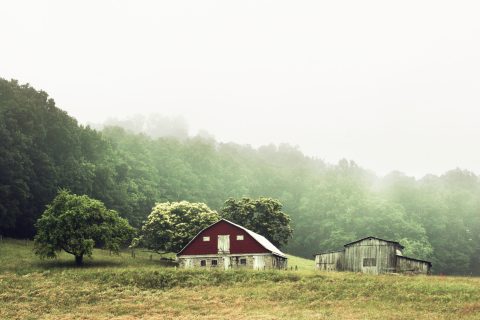 Butterflies, Barns, And 5 More Charms Nobody Mentions But Everyone Loves About West Virginia