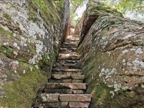 Hike This Stairway To Nowhere In Illinois For A Magical Woodland Adventure