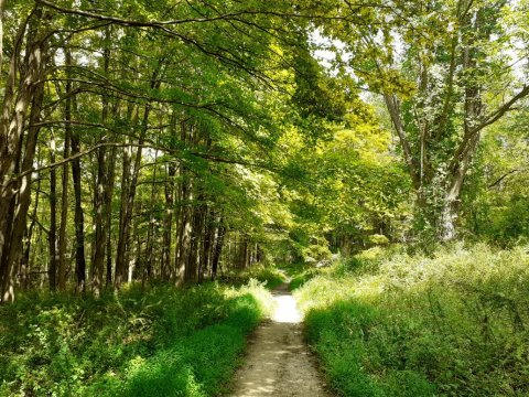 Explore One Of These Gorgeous Trails at New York's Harriman State Park