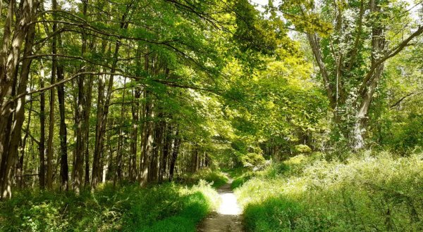 Explore One Of These Gorgeous Trails at New York’s Harriman State Park
