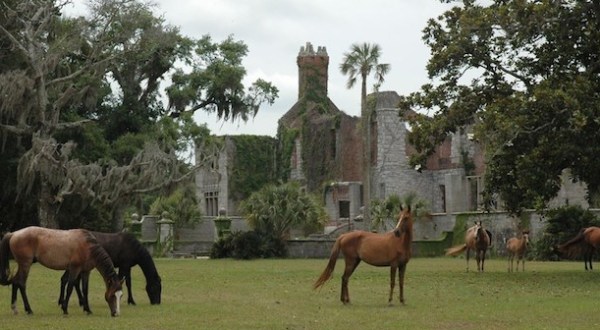 Cumberland Island Is One Of The Strangest Places You Can Go In Georgia