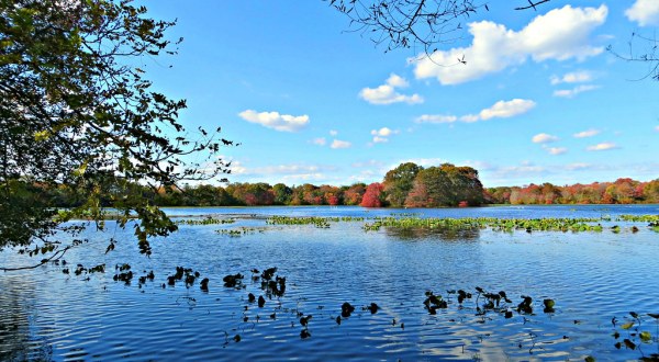 Why New York’s Massapequa Preserve Is Perfect For A Family Weekend