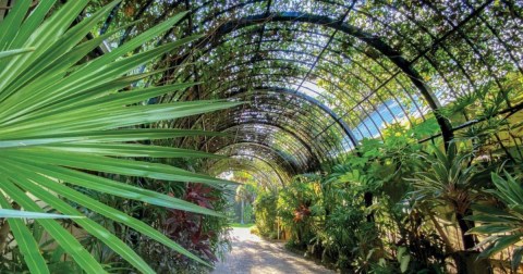 Wander Through The Magical, Otherworldly McKee Botanical Garden In Florida