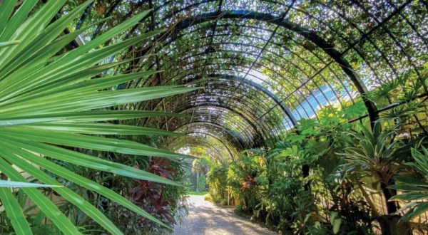 Wander Through The Magical, Otherworldly McKee Botanical Garden In Florida