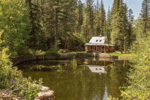 7 Must-Visit Airbnb Cabins That Are Ideal For A Fall Overnight Stay