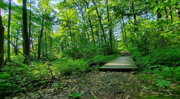 Burnett Woods Nature Preserve In Indiana Is So Well-Hidden, It Feels Like One Of The State’s Best Kept Secrets