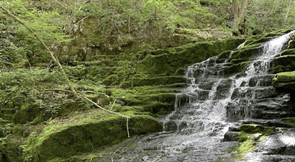 Take An Easy 1.5-Mile Hike To A Rushing Waterfall At Tunxis State Forest In Connecticut
